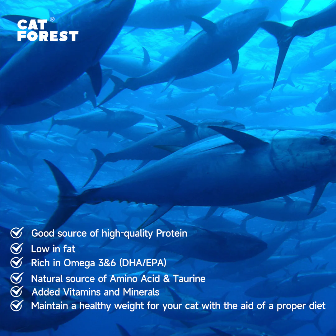 CAT FOREST Premium Tuna White Meat with Chicken in Jelly Canned Cat Food - Image 11