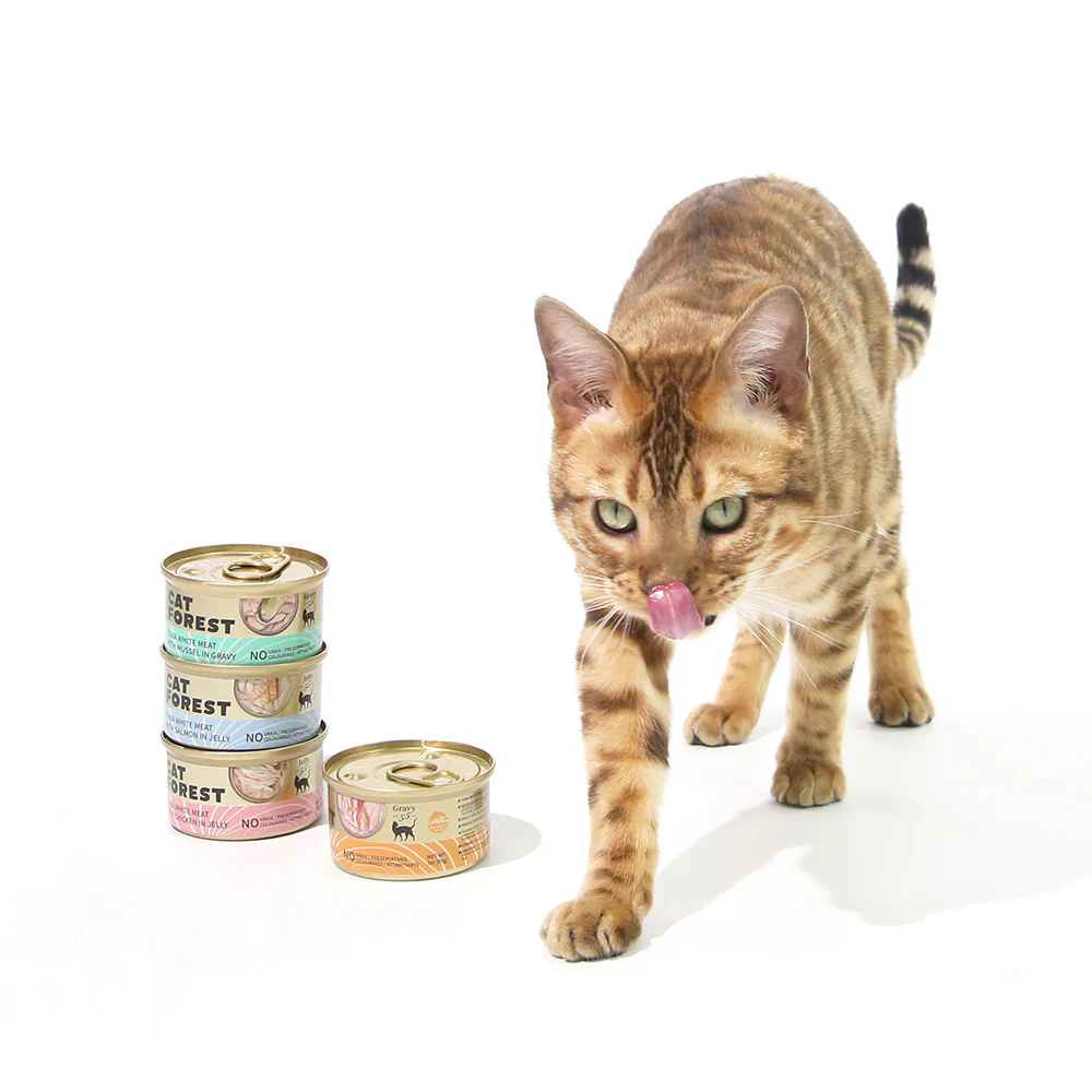 CAT FOREST Premium Tuna White Meat with Chicken in Jelly Canned Cat Food - Image 7
