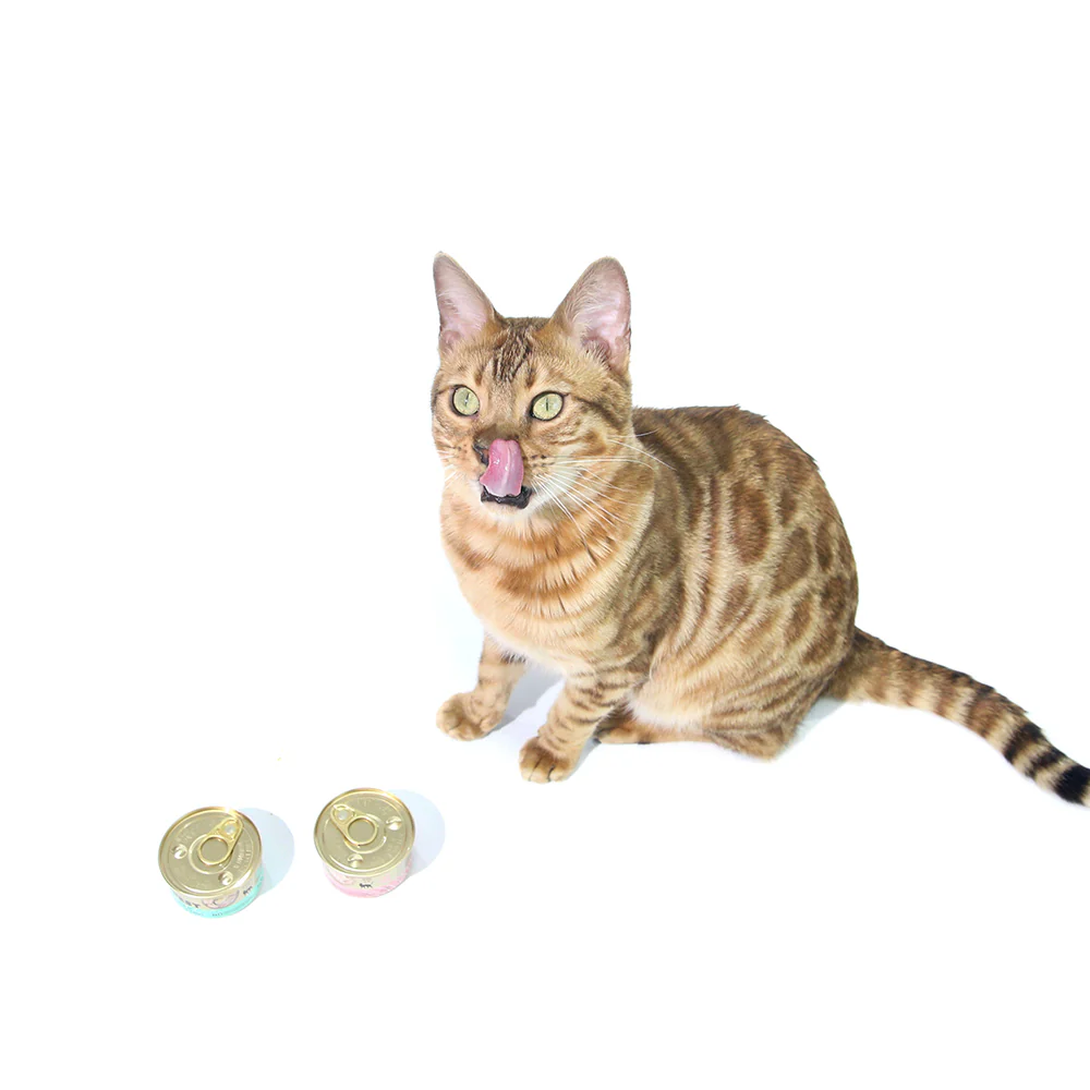 CAT FOREST Premium Tuna White Meat with Salmon in Jelly Canned Cat Food - Image 12