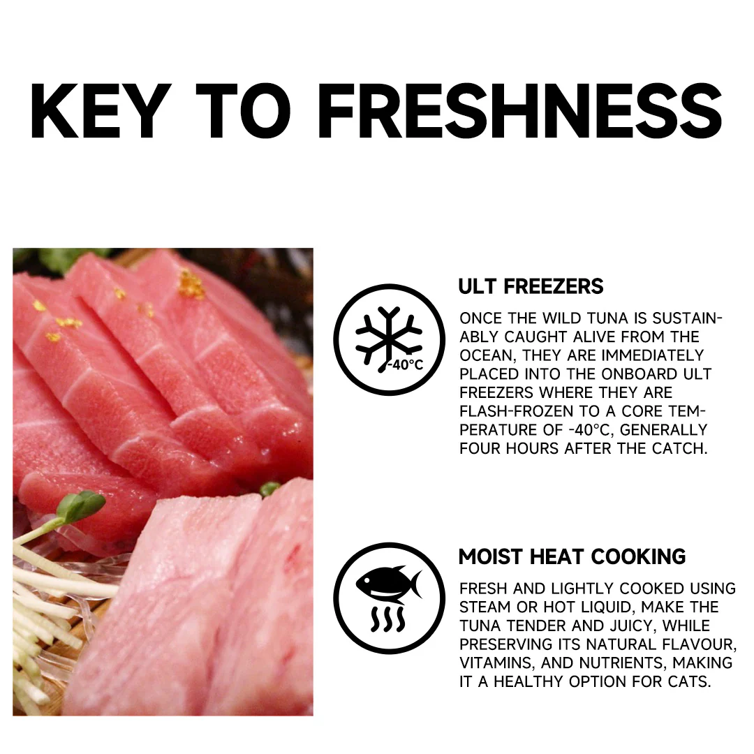 CAT FOREST Premium Tuna White Meat with Salmon in Jelly Canned Cat Food - Image 4