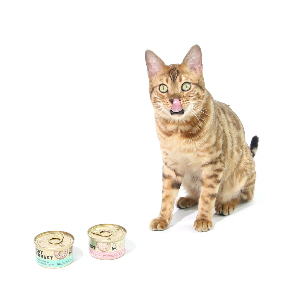 CAT FOREST Premium Tuna White Meat with Shrimp in Gravy Canned Cat Food - Image 10