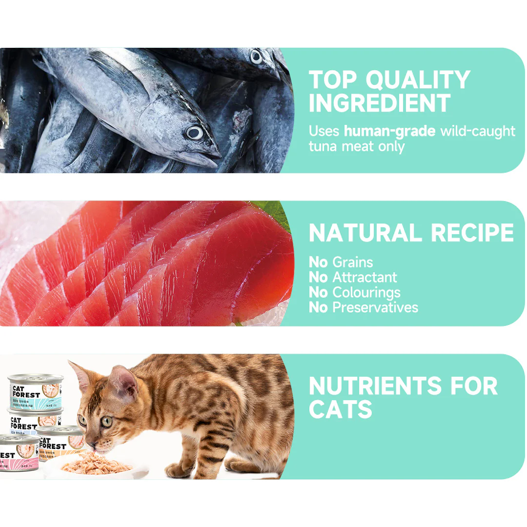 CAT FOREST Premium Tuna White Meat with Shrimp in Gravy Canned Cat Food - Image 11