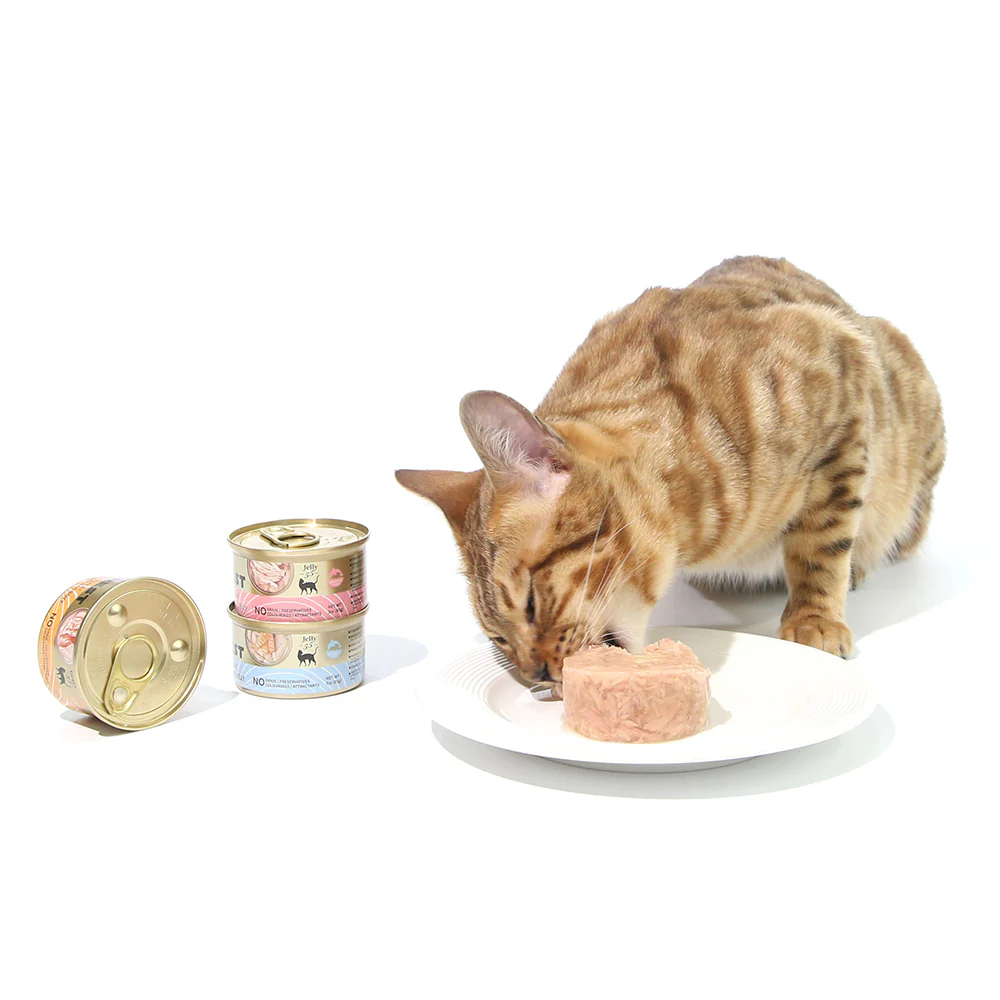 CAT FOREST Premium Tuna White Meat with Shrimp in Gravy Canned Cat Food - Image 9