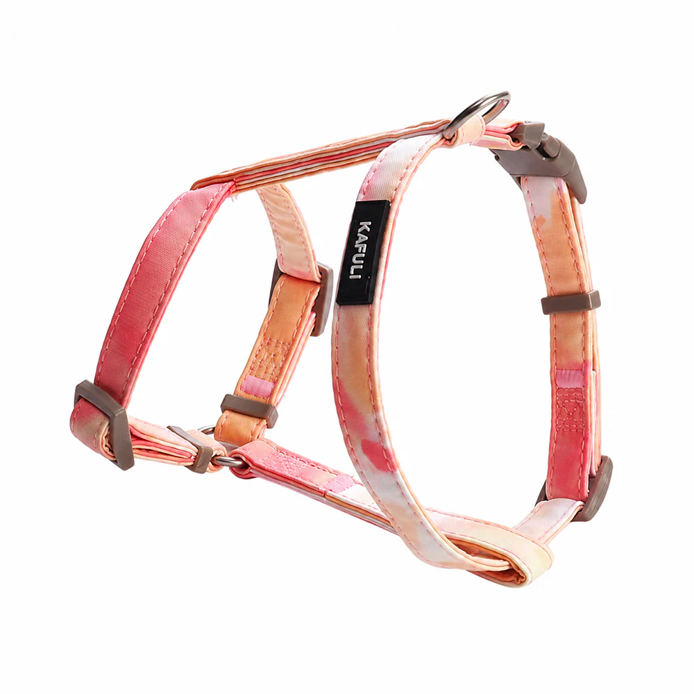 Cat Harness & Leash Set | Escape Proof | Adjustable - Image 10