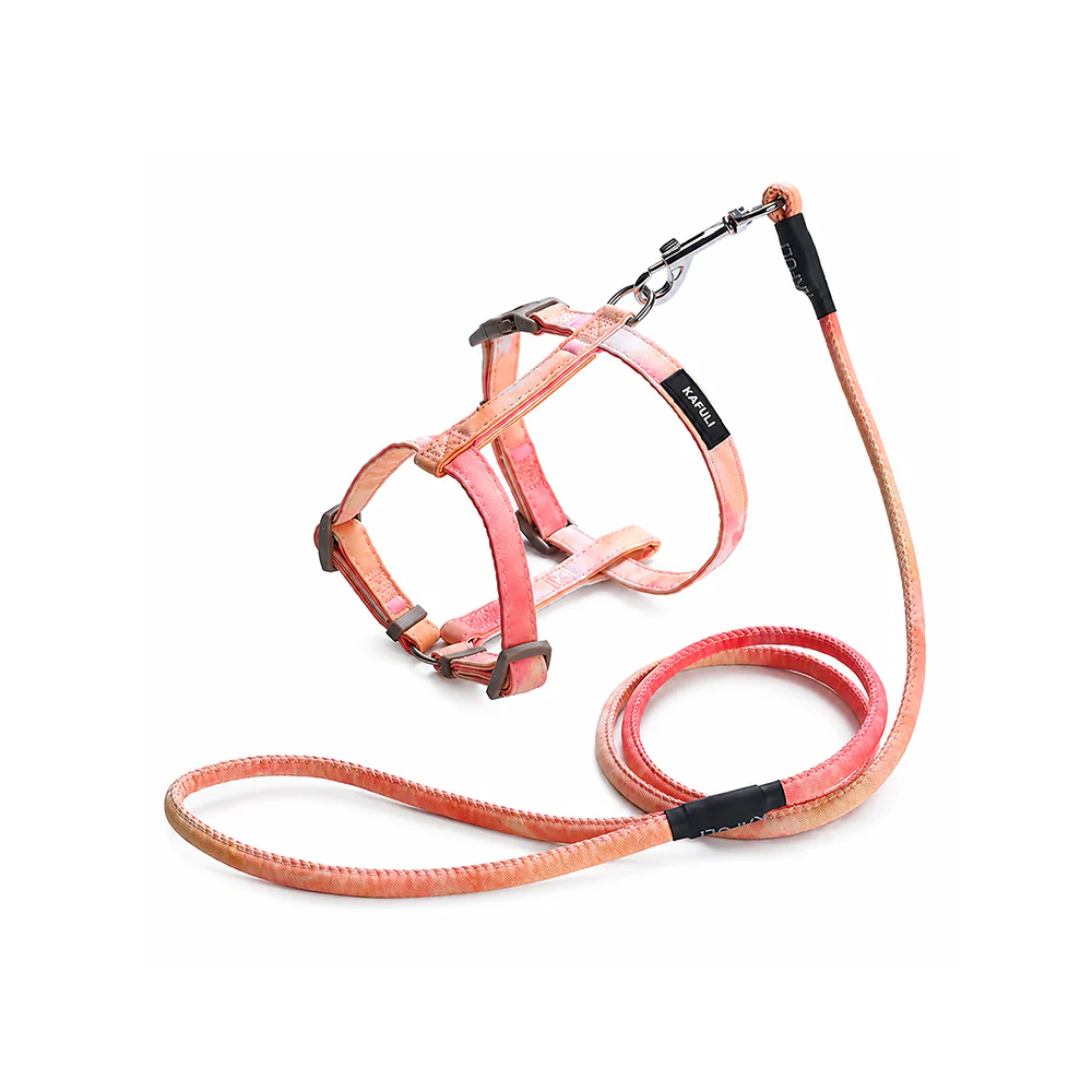 Cat Harness & Leash Set | Escape Proof | Adjustable - Image 13