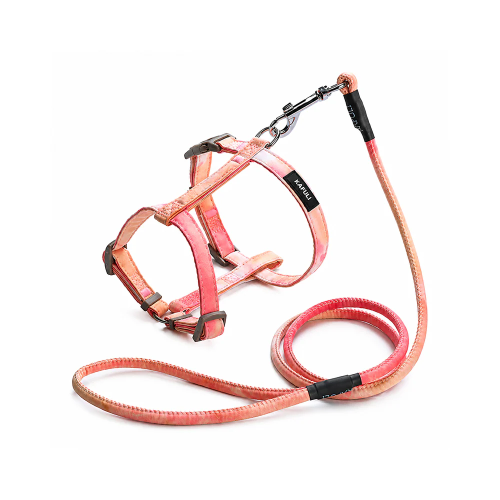 Cat Harness & Leash Set | Escape Proof | Adjustable - Image 14