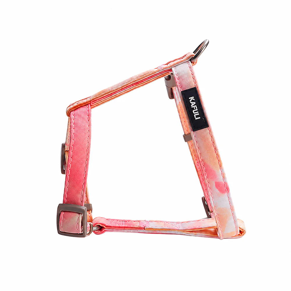 Cat Harness & Leash Set | Escape Proof | Adjustable - Image 3