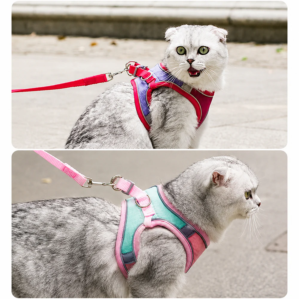 Pet Harness & Leash Set | Escape Proof Reflective | Cats, Dogs, Rabbits & More - Image 8