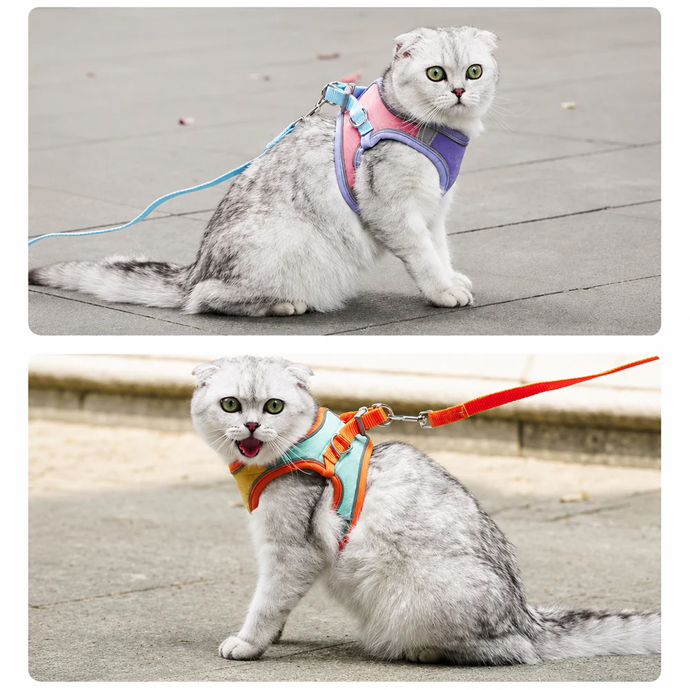 Pet Harness & Leash Set | Escape Proof Reflective | Cats, Dogs, Rabbits & More - Image 9