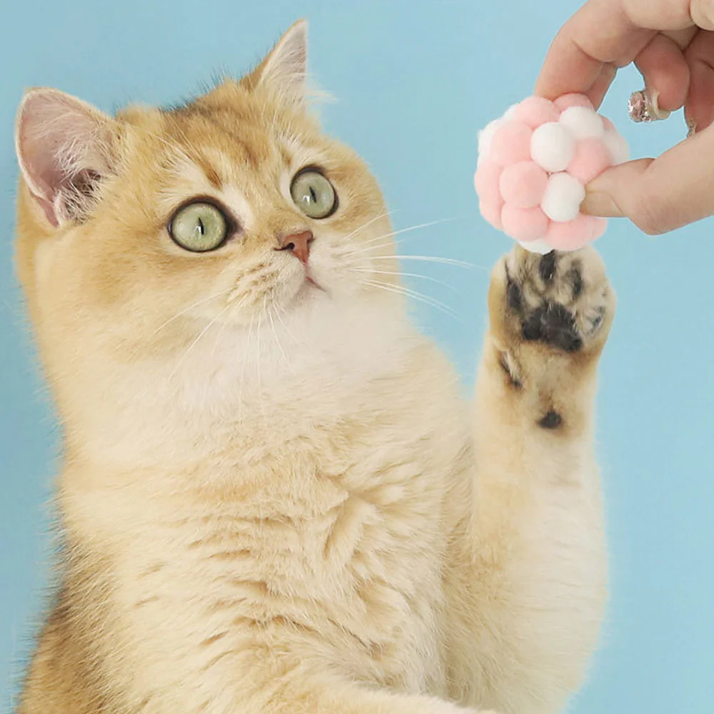 Cat Toy Balls – Interactive Self-Play Chew Toy Set (6 Pack, Random Colour) - Image 7