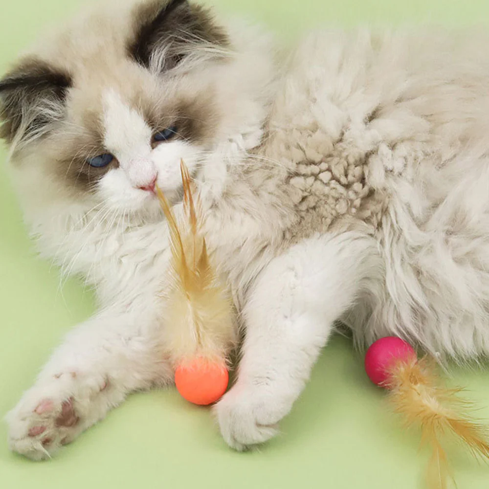 Cat Toy Bouncy Ball Feather Interactive 3 Pack - Image 10