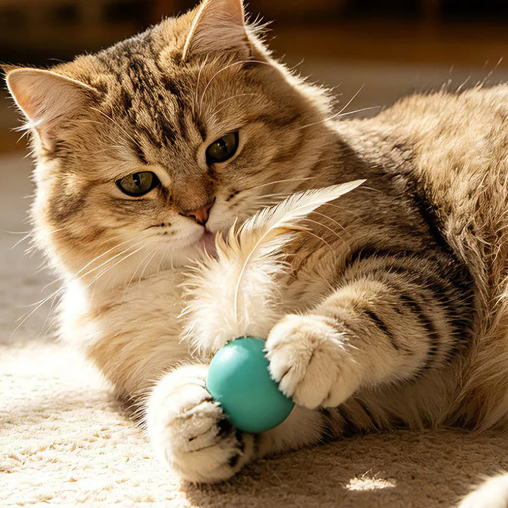Cat Toy Bouncy Ball Feather Interactive 3 Pack - Image 4