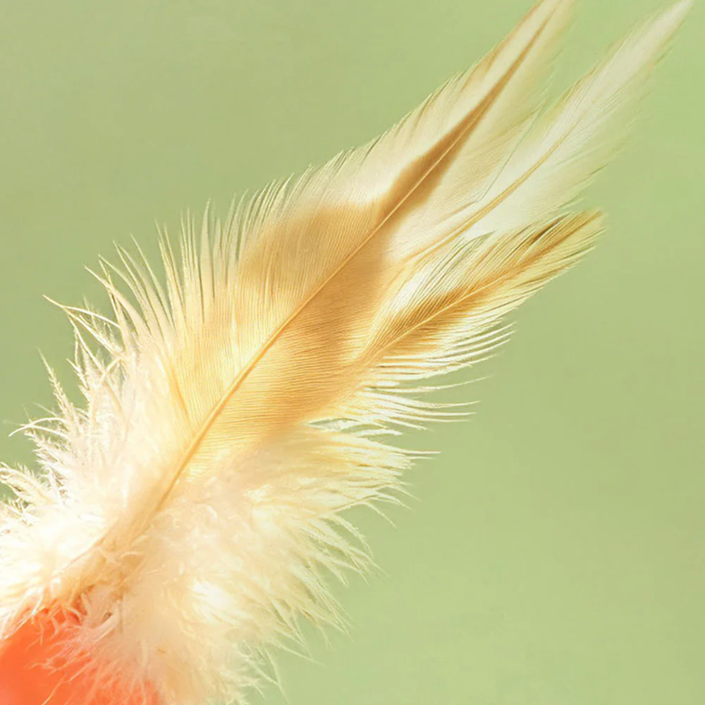 Cat Toy Bouncy Ball Feather Interactive 3 Pack - Image 5