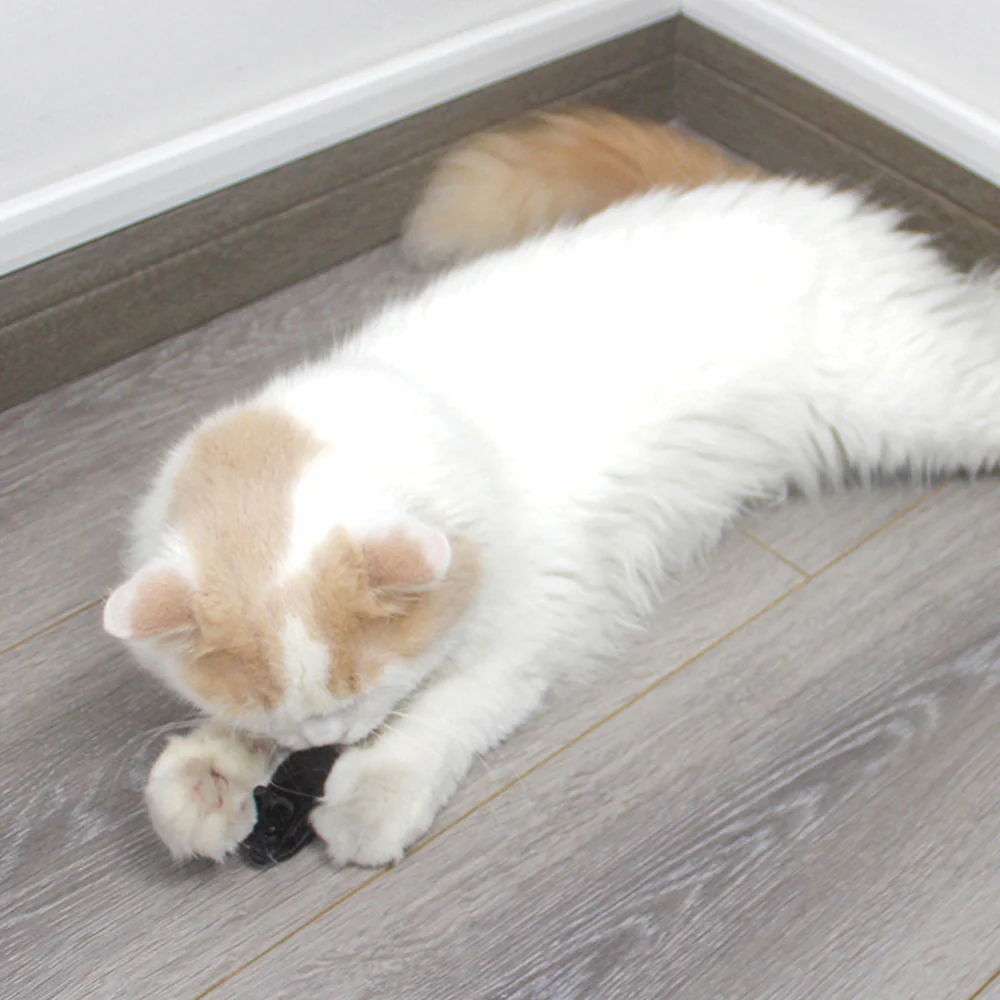 Cat Toy Mouse – Realistic Furry Squeaky Interactive Toy (1pc, Random Color) - Image 3