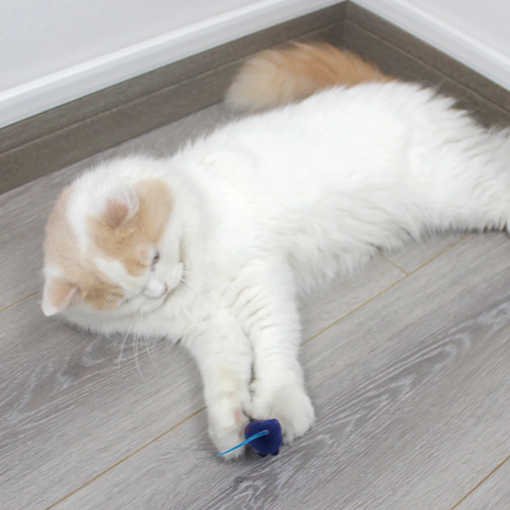 Cat Toy Mouse – Realistic Furry Squeaky Interactive Toy (1pc, Random Color) - Image 4