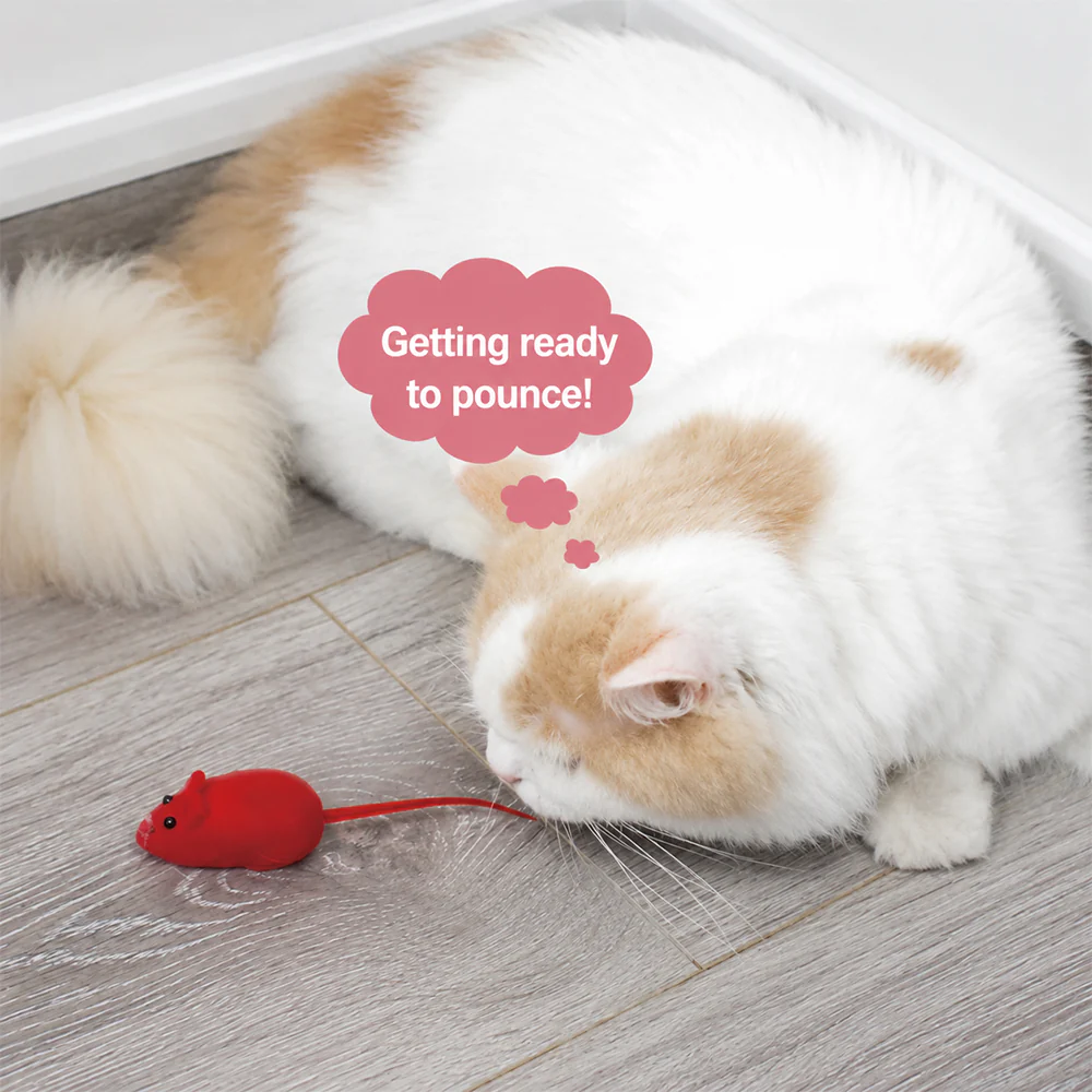 Cat Toy Mouse – Realistic Furry Squeaky Interactive Toy (1pc, Random Color) - Image 6