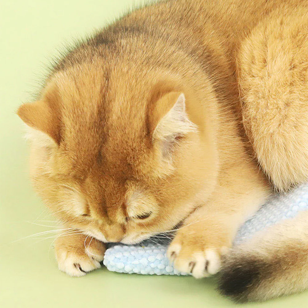 Cat Toy Plush Crinkle Sound Interactive Chew Toy - Image 12