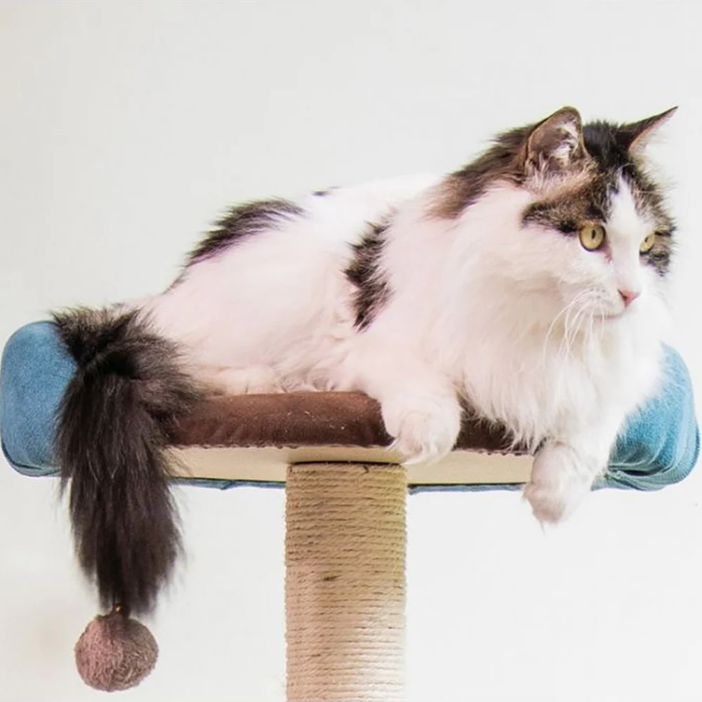 CATIO Cat Tree C6014 - Image 2