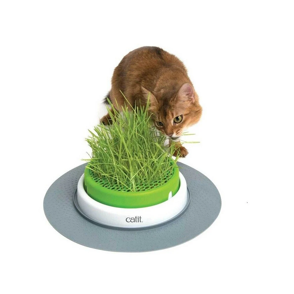 CATIT 2.0 Catgrass Planter - Image 2