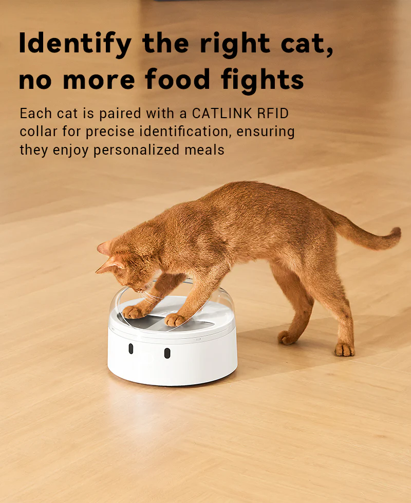 CATLINK F03 RFID Pet Feeder - Standard Version - Image 3
