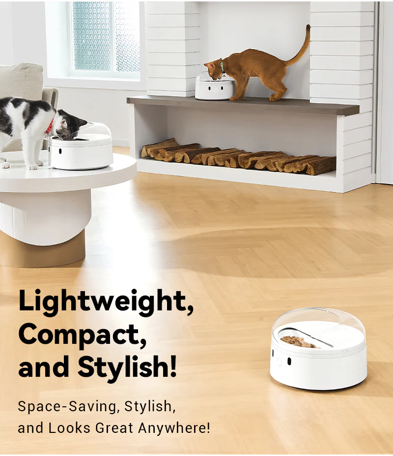 CATLINK F03 RFID Pet Feeder - Standard Version - Image 7