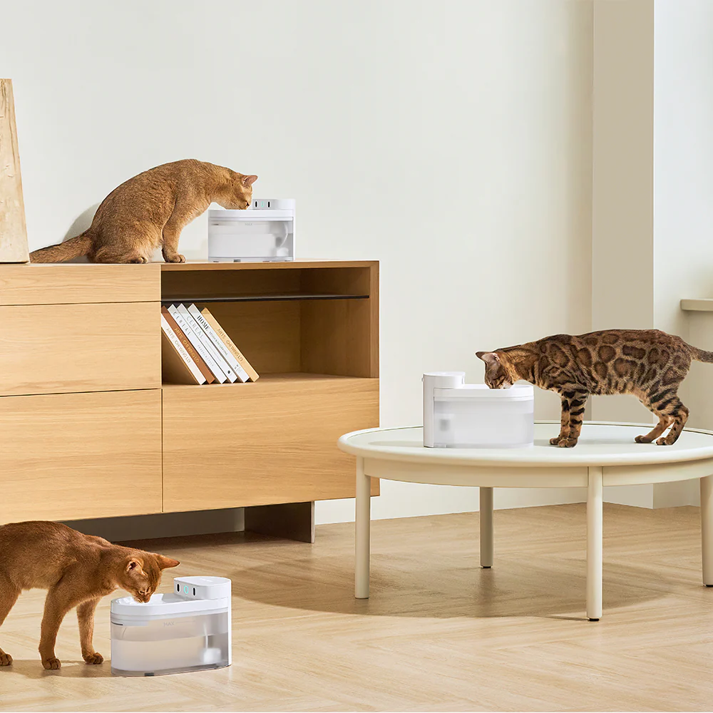 CATLINK Pure 3 AI Water Fountain - Wireless - Image 5