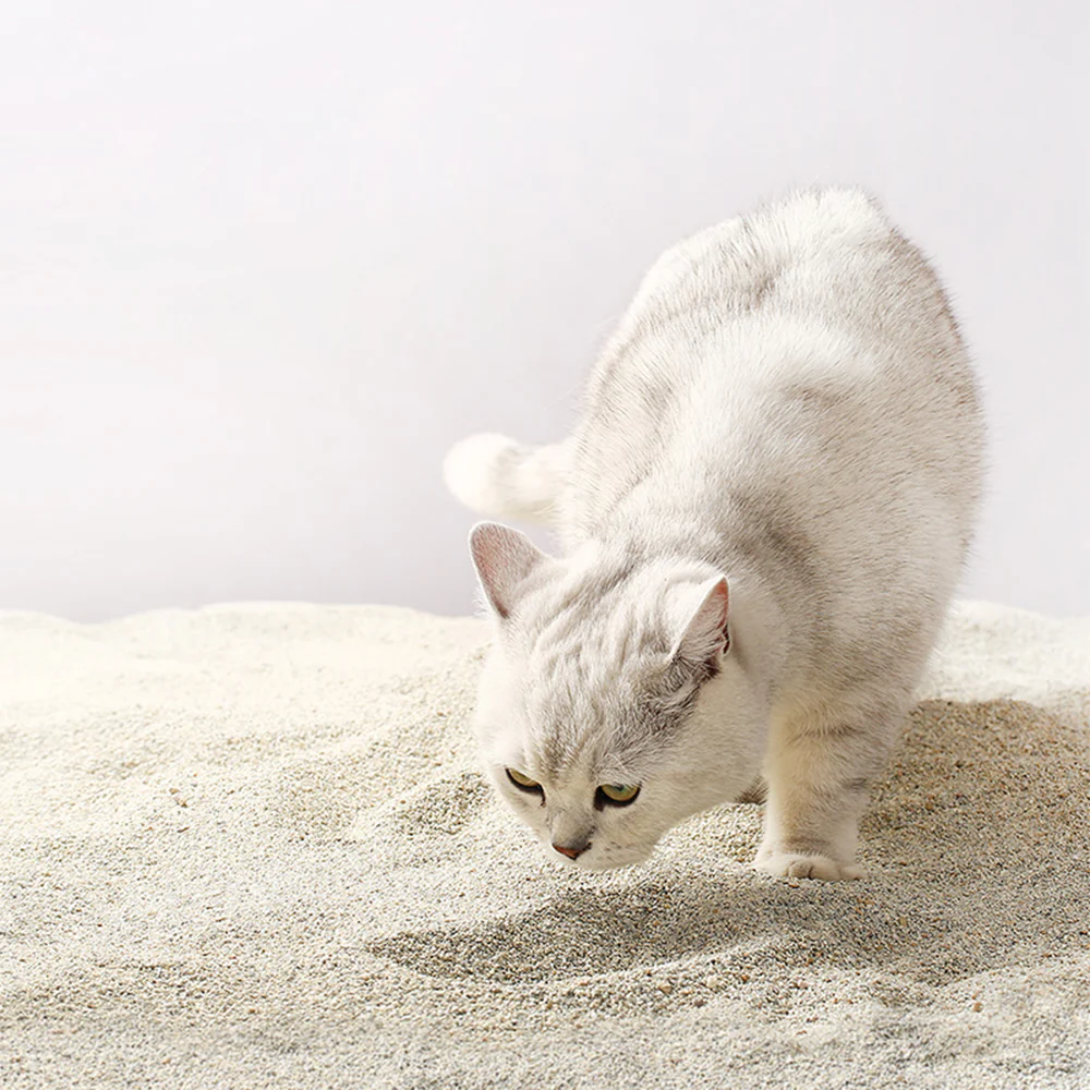CATLINK USA Nudge Mineral Bentonite Cat Litter Mars Stone 4.5kg - Image 3