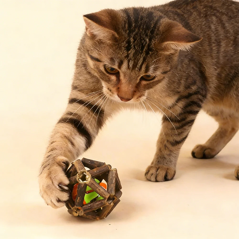 Catnip Ball Cat Interactive Toy with Bell - Image 3
