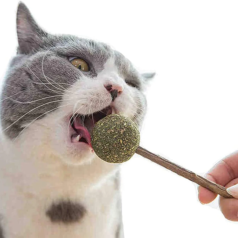 Catnip Lollipops Cat Toy - Image 2