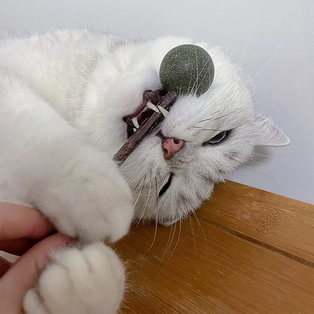 Catnip Lollipops Cat Toy - Image 3
