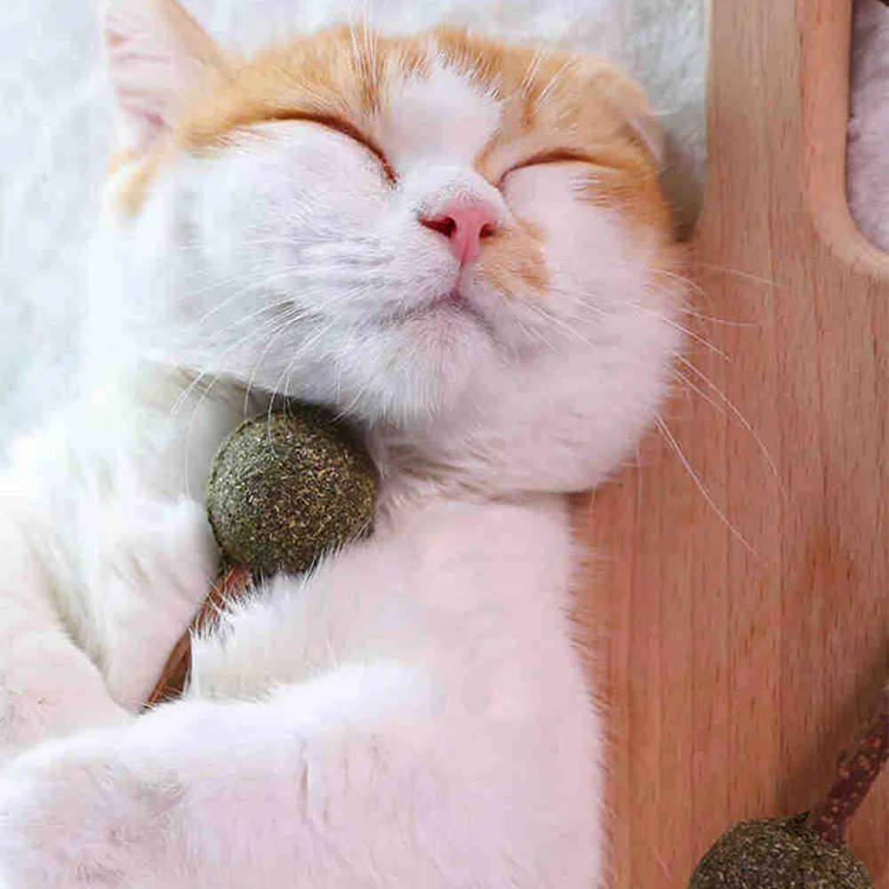 Catnip Lollipops Cat Toy - Image 4