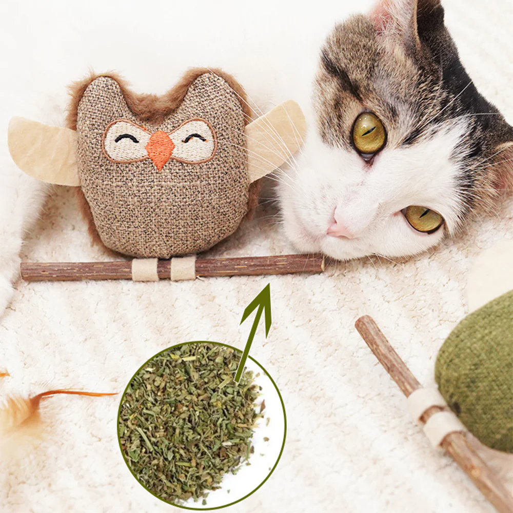 Catnip & Silvervine Chew Toy – Interactive Feather Dental Stick - Image 8