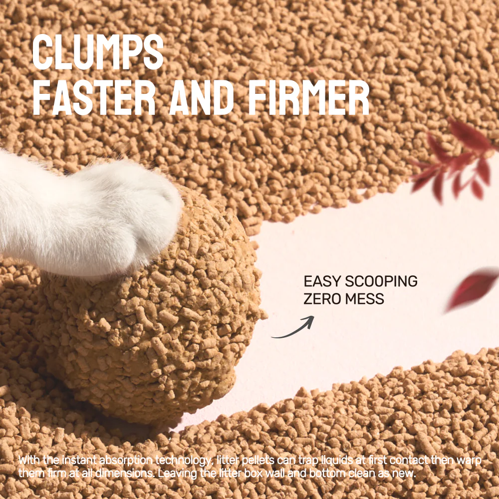 CATURE Natural Cassava Clumping Cat Litter 2.5kg Earl Grey Scent, Ultra Absorbent - Image 5
