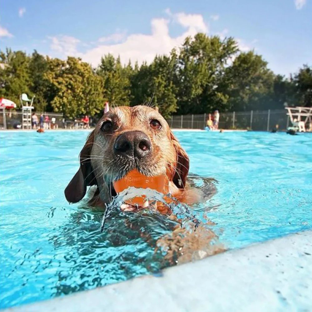 CHUCKIT! Hydro Freeze Ball Fetch Dog Toy - Image 4