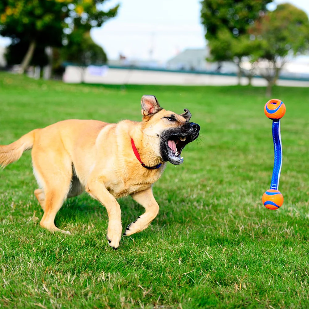 CHUCKIT! Ultra Duo Tug Medium Rubber Bouncy Durable Fetch Dog Toy Diameter - Image 6