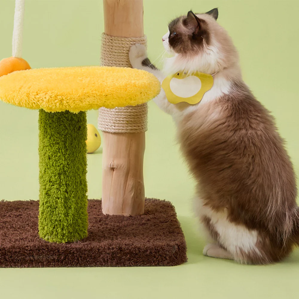 CMISSTREE Pear-Shaped Scratching Post And Cat Bed - Image 10