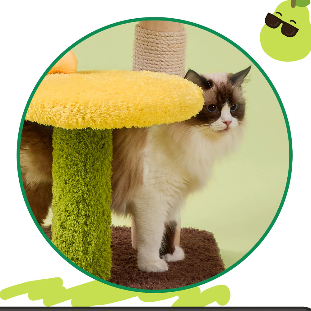 CMISSTREE Pear-Shaped Scratching Post And Cat Bed - Image 9