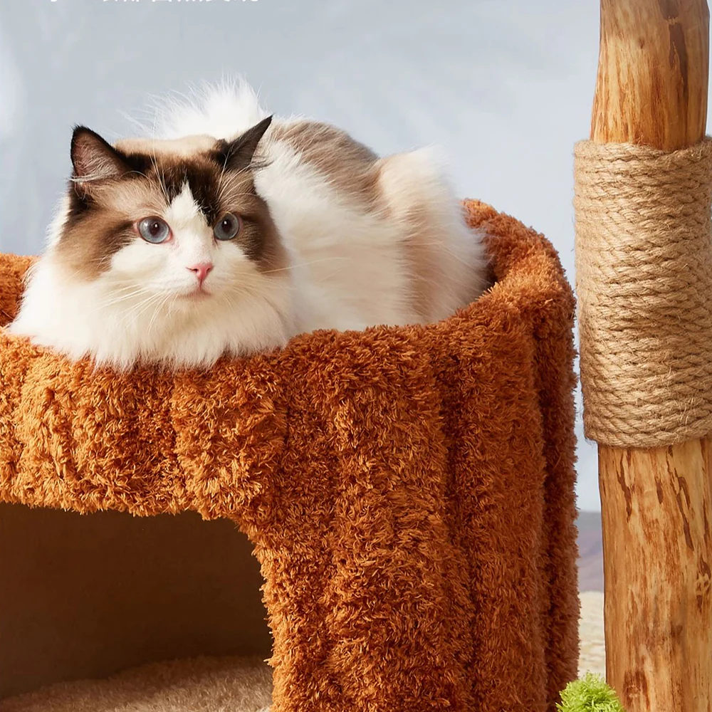 CMISSTREE Single-Level Tree Hollow Solid Wood Cat Tree - Image 2