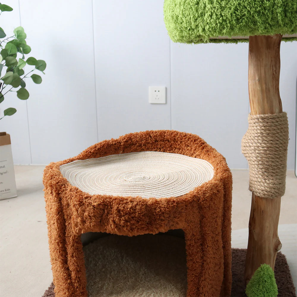 CMISSTREE Single-Level Tree Hollow Solid Wood Cat Tree - Image 4