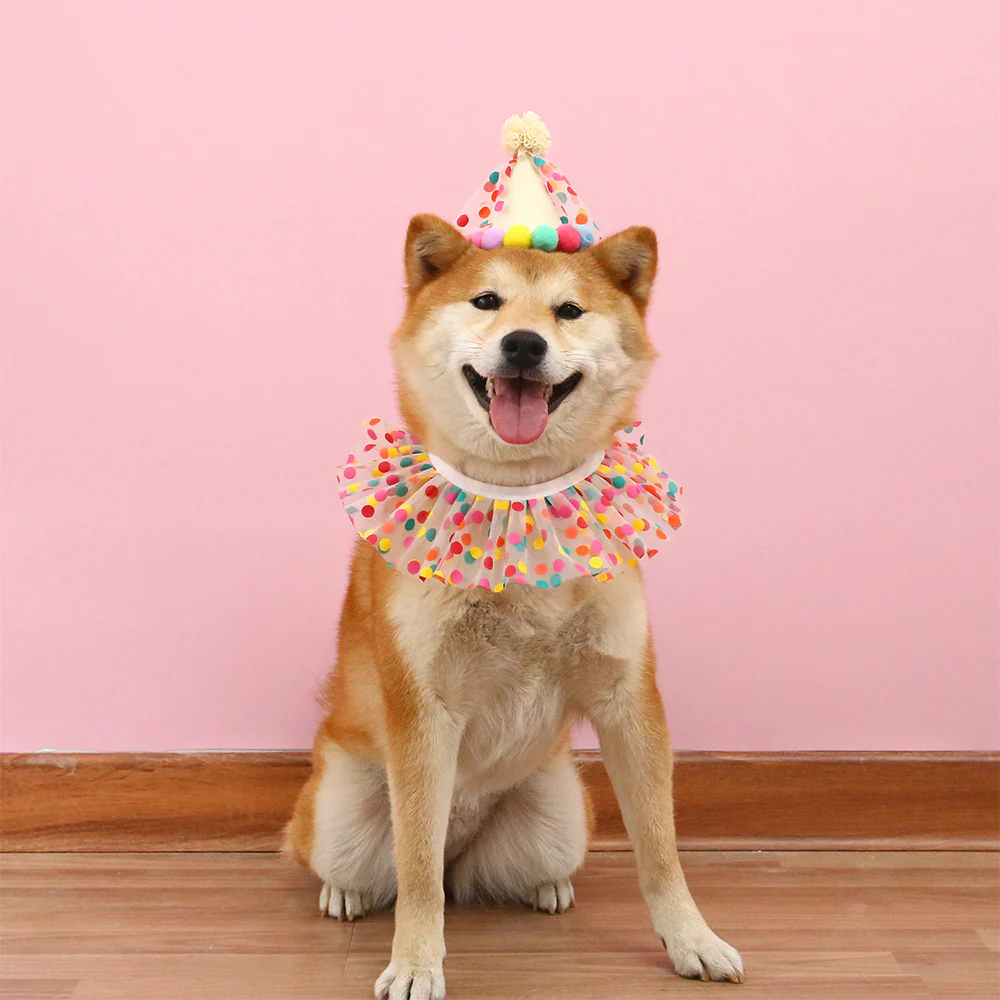 Colorful Polka Dot Pet Birthday Hat - Image 3