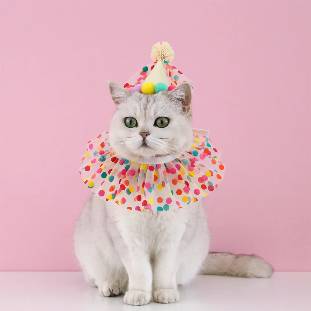 Colorful Polka Dot Pet Birthday Hat - Image 4