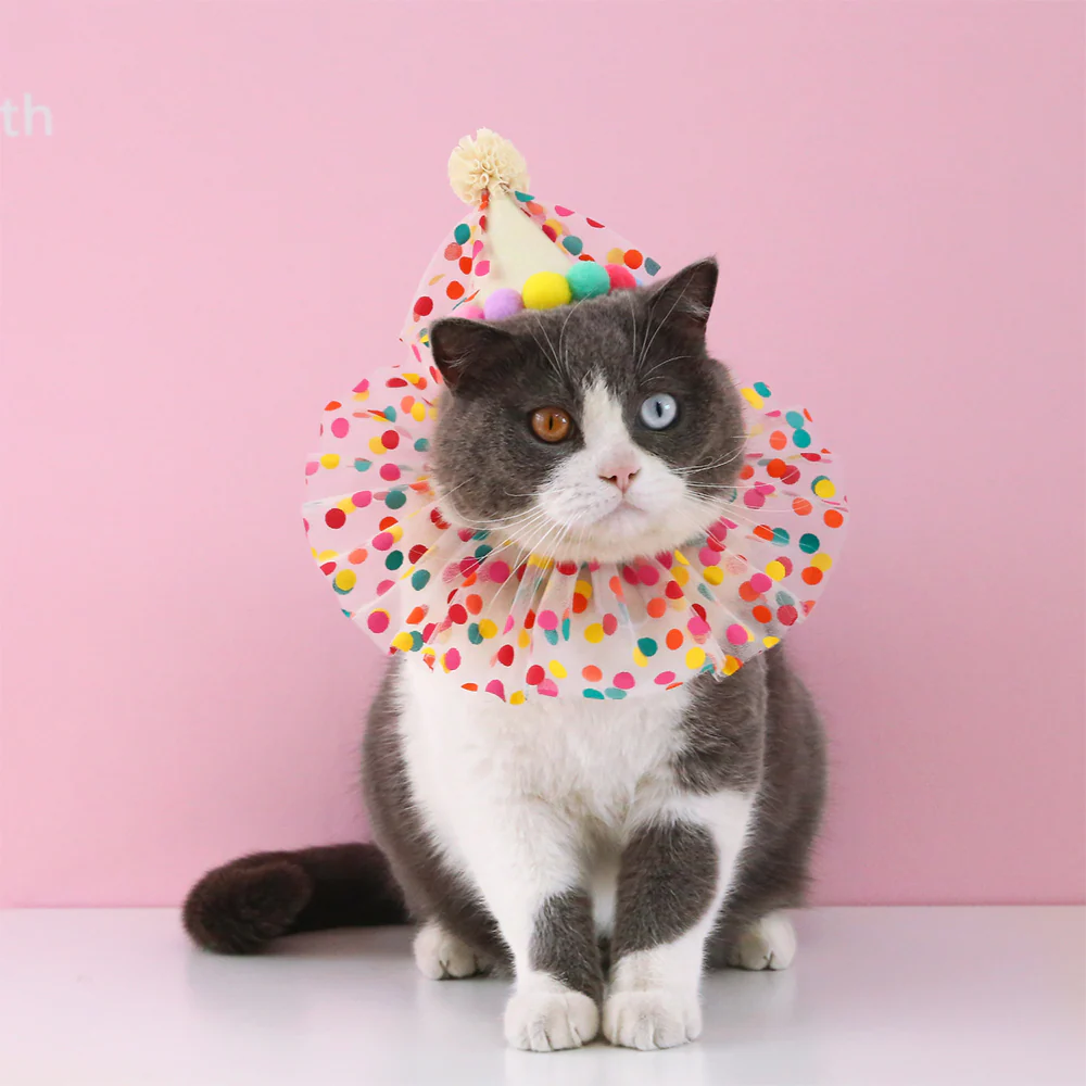 Colorful Polka Dot Pet Birthday Hat - Image 5