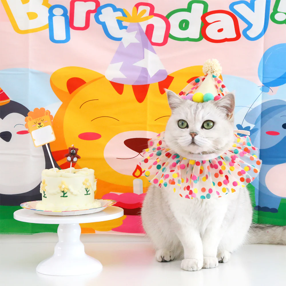 Colorful Polka Dot Pet Birthday Hat - Image 6