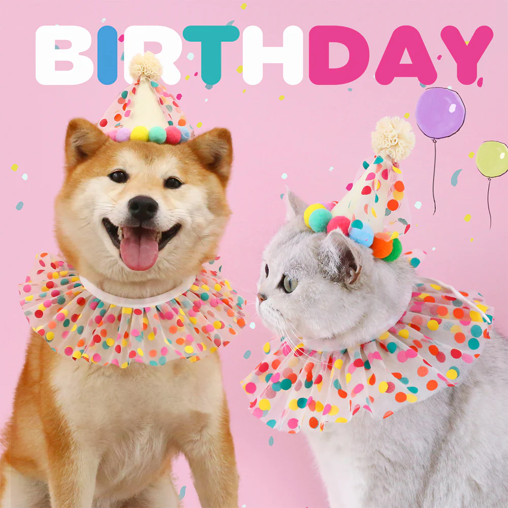 Colorful Polka Dot Pet Birthday Hat - Image 7