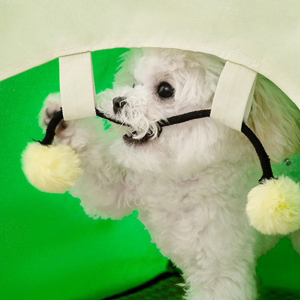 Cooling Summer Pet Tent Bed - Image 12
