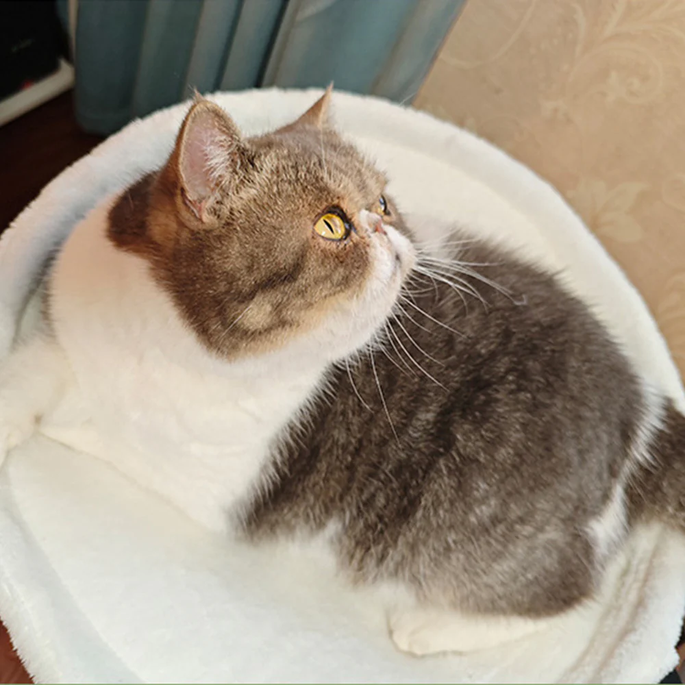 Desk-Mounted Cat Hammock – Clip-On Cat Bed for Table & Desk - Image 10