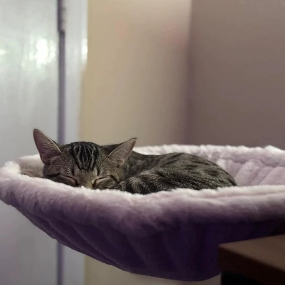 Desk-Mounted Cat Hammock – Clip-On Cat Bed for Table & Desk - Image 3