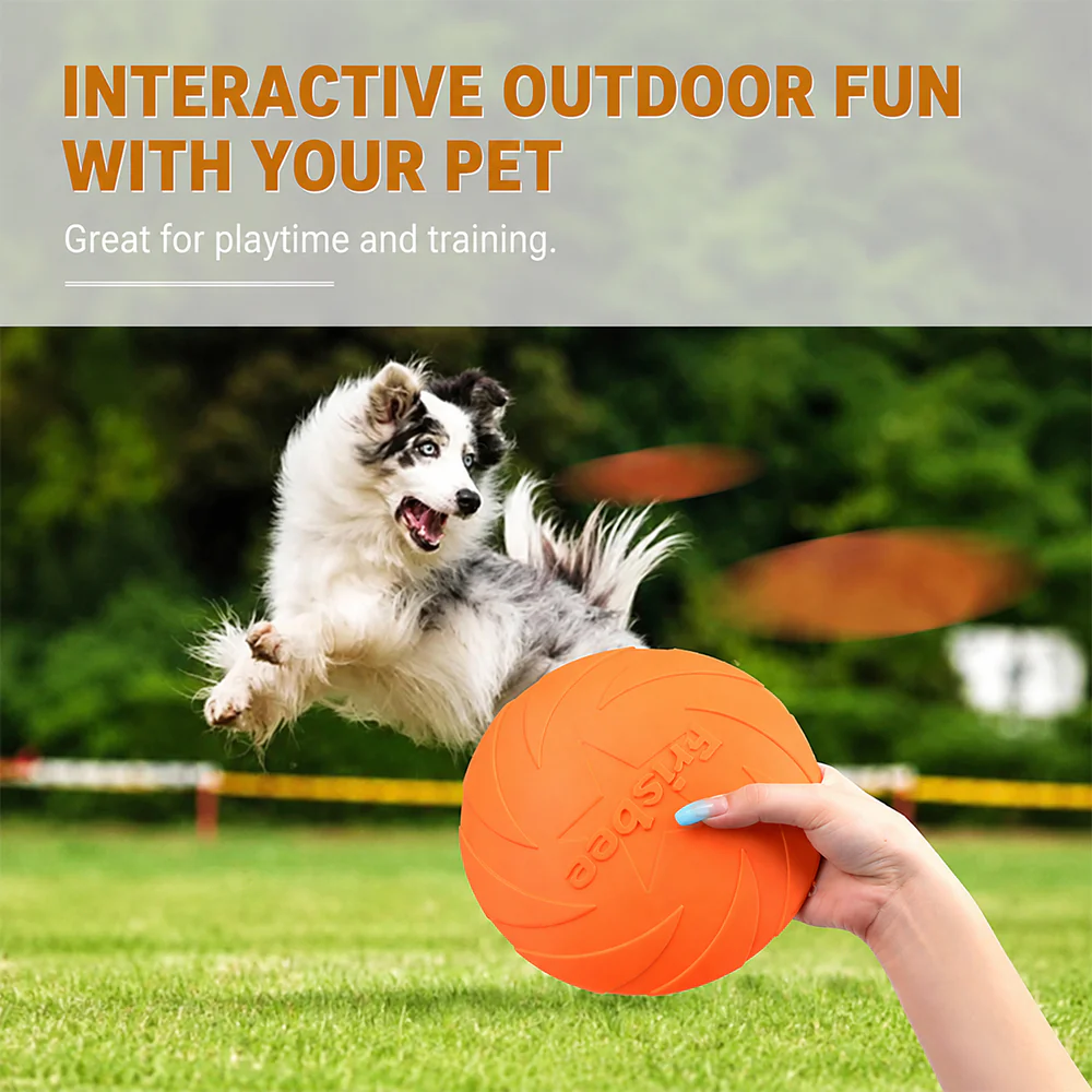 Dog Frisbee | TPR Floating Fetch Toy | Durable 22cm - Image 6