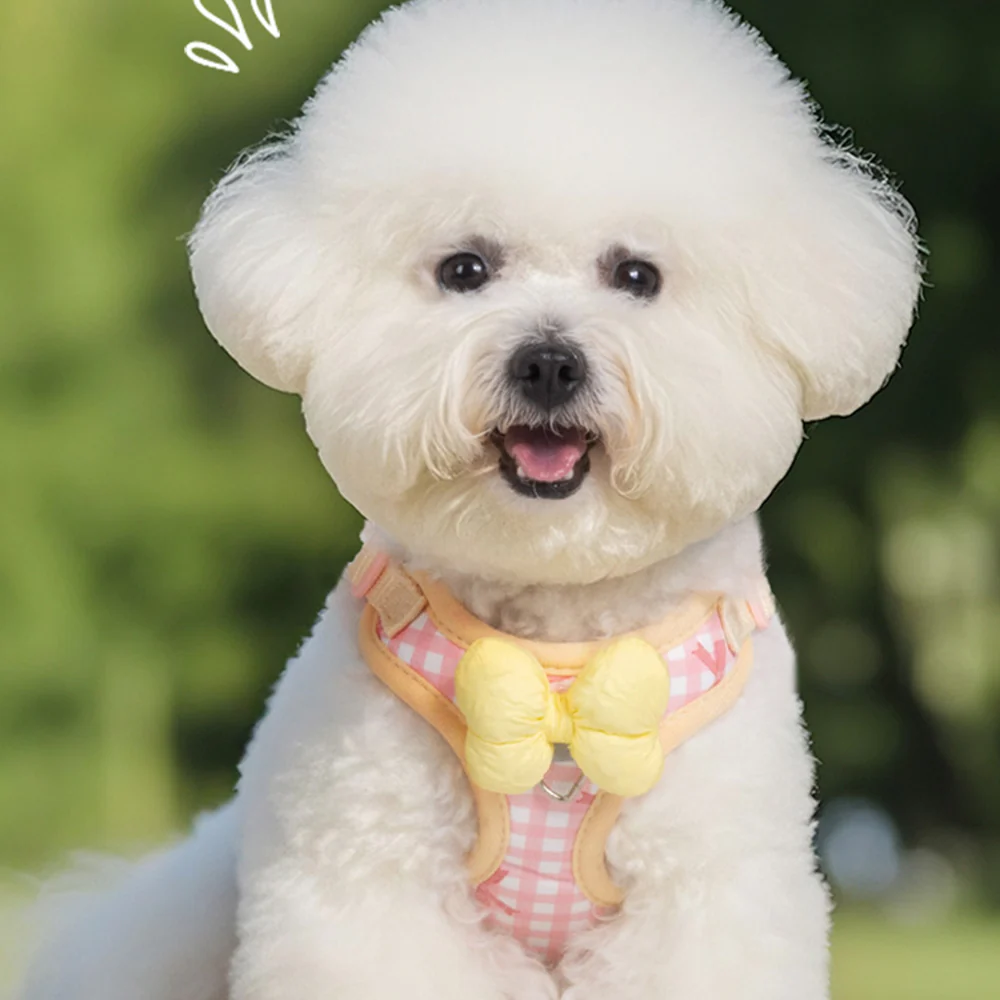 Dog & Cat Harness & Leash Set | Lightweight Check Pattern - Image 10