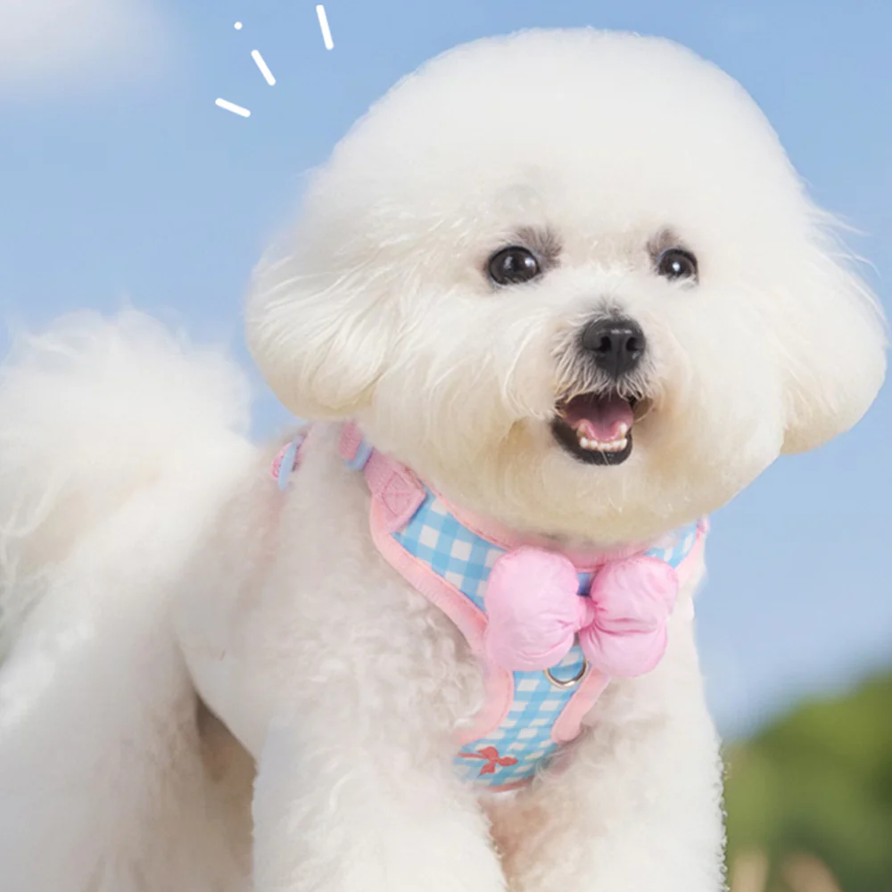 Dog & Cat Harness & Leash Set | Lightweight Check Pattern - Image 11